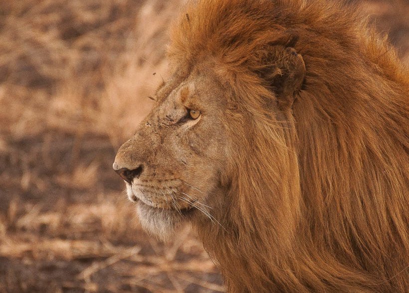 Youth Engagement Program Inspires Future Conservationists